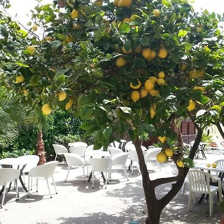 בית הארחה Celo Garden 2*
