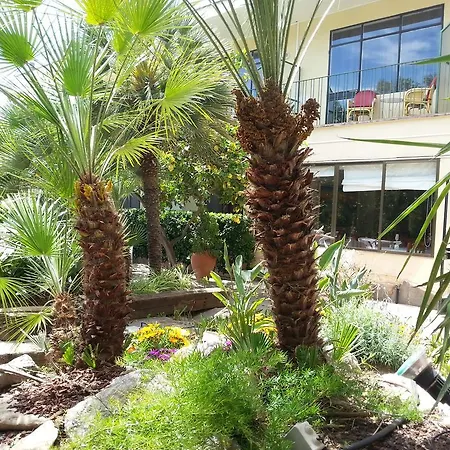 Celo Garden פגוארה