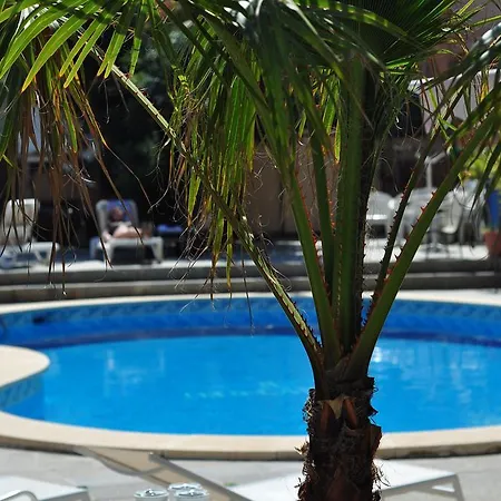 בית הארחה Celo Garden
