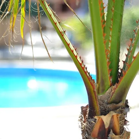 Celo Garden פגוארה